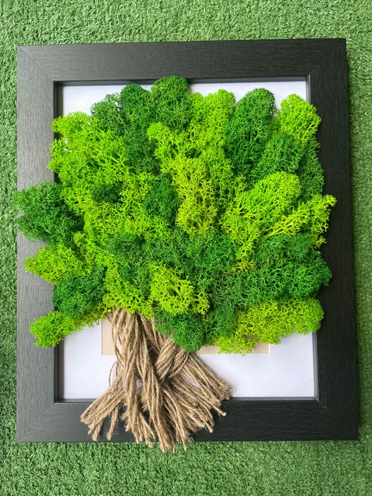 Картини и кашписъс скандинавски мъх