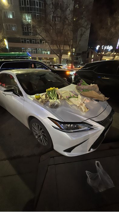 Тюльпаны пионовидные