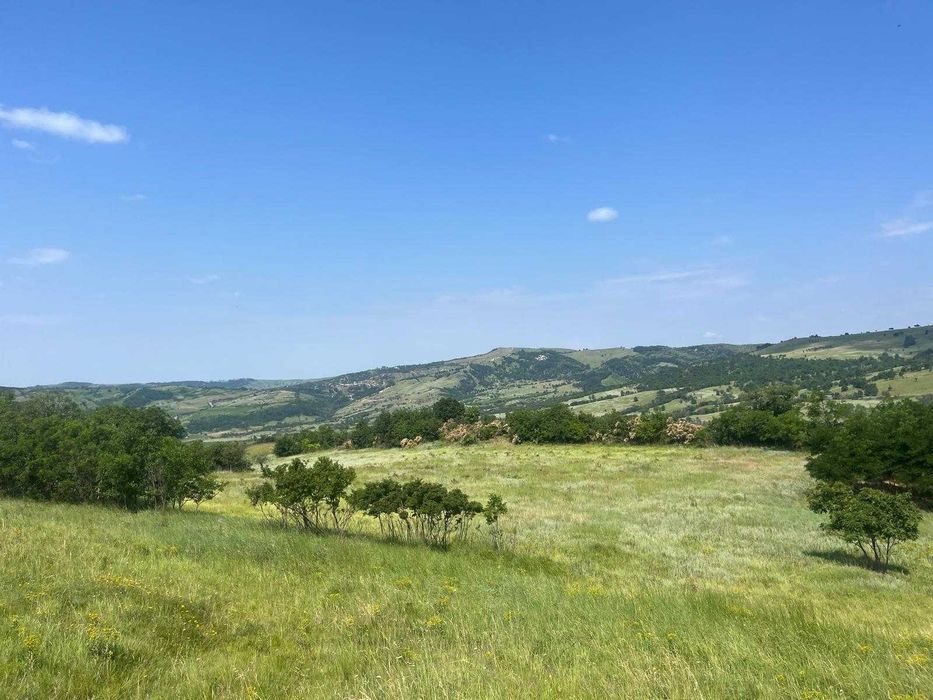 Teren de vânzare (intravilan și extravilan).