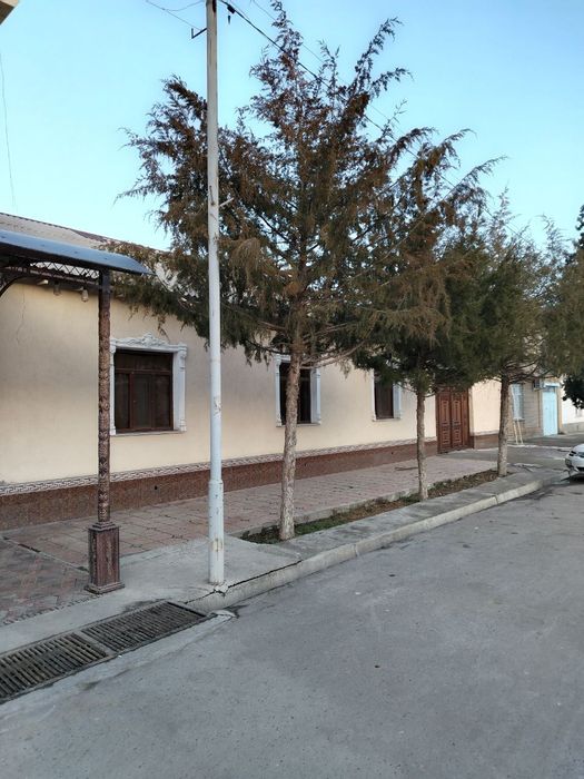 Джума Амир Темур  куча 31 уй