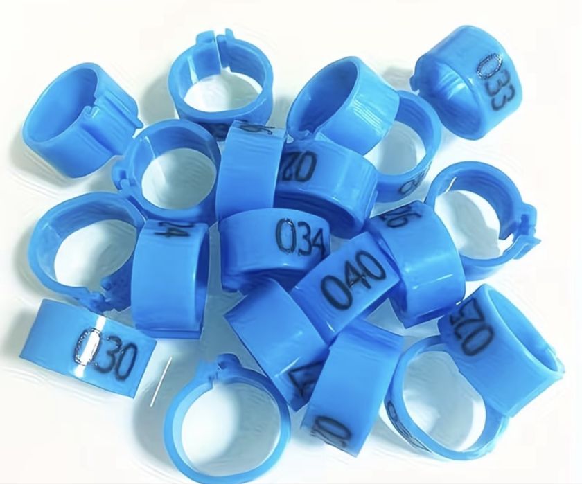 Inele porumbei personalizate