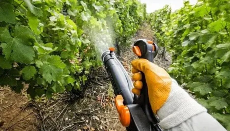 Услуги садовника!