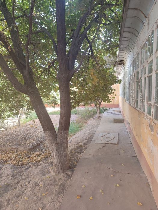 Shahar markazidan hovli sotiladi