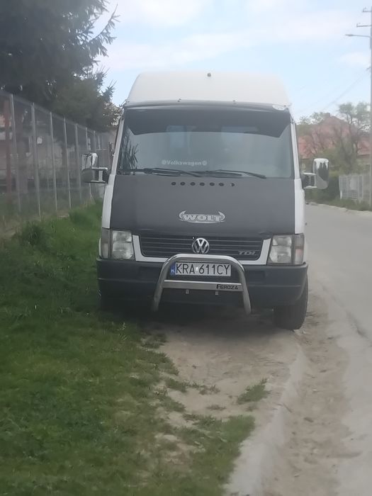 Vând elte de Polonia cu acte  valabile