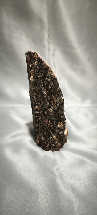 Свещник с декоративна кора и златиста вътрешност