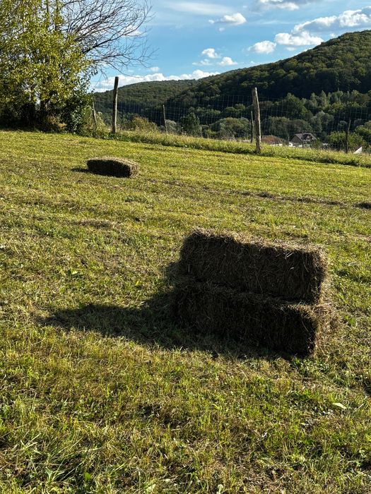 Baloți de otavă de vânzare