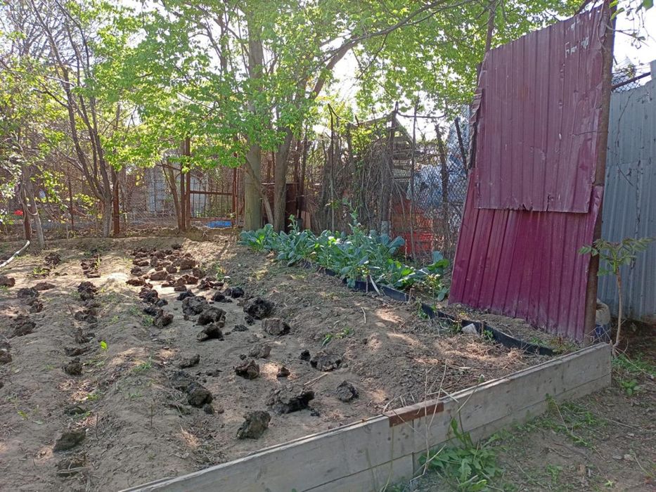 Продам срочно Огород СОТ Оазис в черте города.