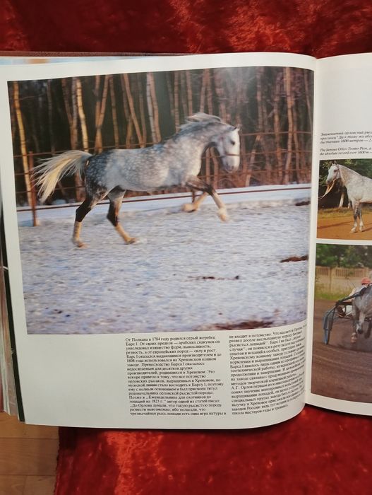 Книга Ветер в гриву HORSES. 1976г.