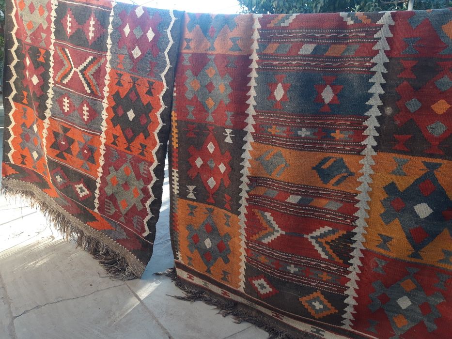 Гиламлар жунли ва пахтали сотилади