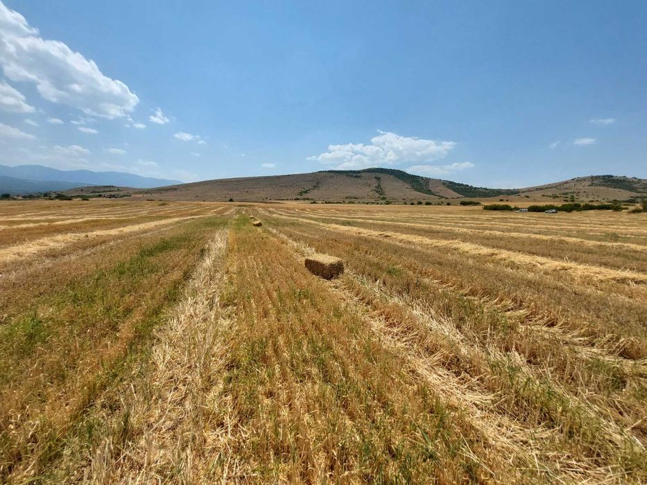 Балиране, Дисковане, Чистене на терени с мулчер