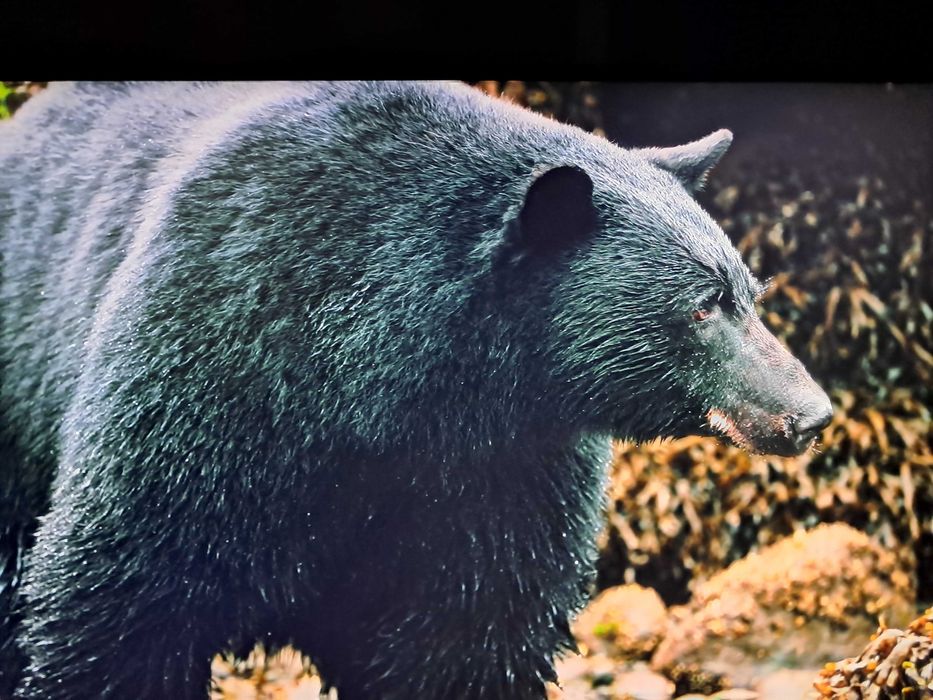 Телевизор 42" 107см смарт оригинал