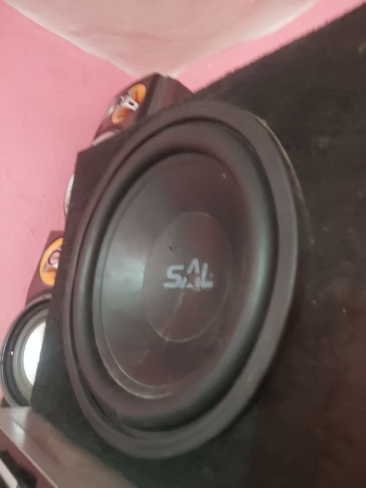 Jarictea pădureni strada preot diagon nr 13 fără transport