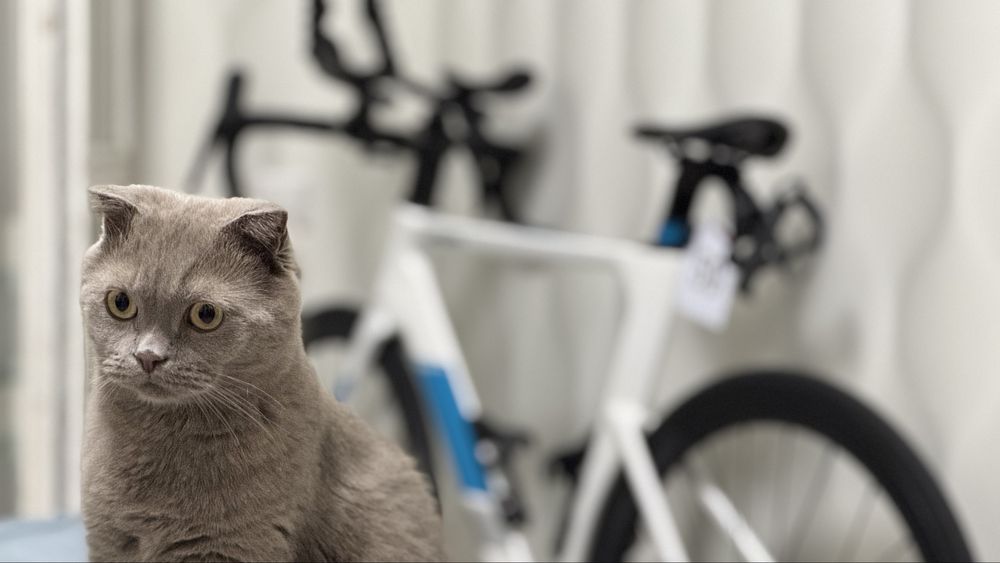 Продам карьоновый шоссейный велосипед