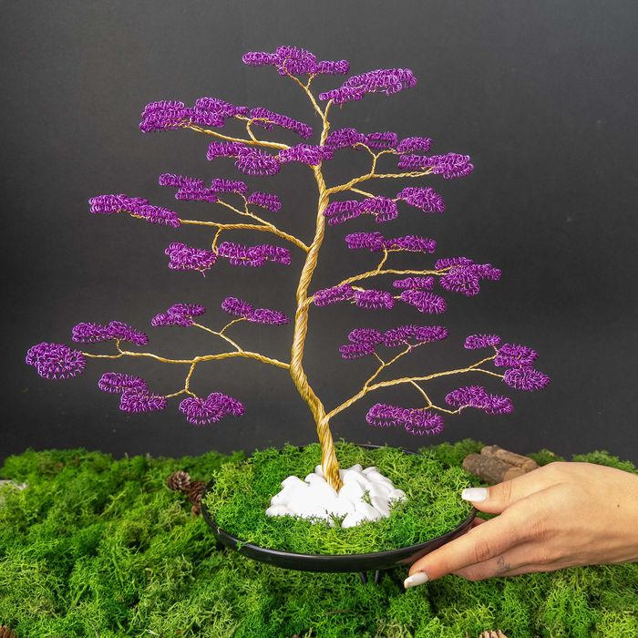 Декоративен бонзай с персонализирани снимки