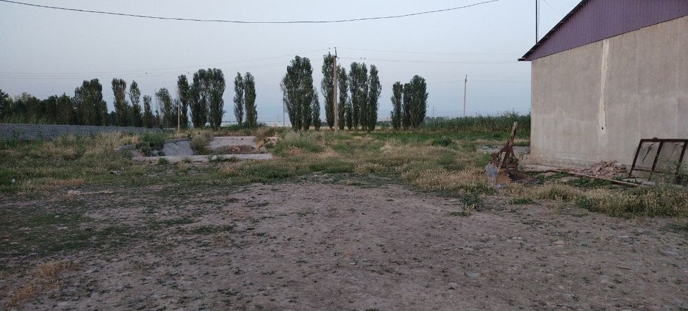 Mol boqishga mo'ljalanga fermer xo'jaligi