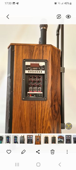 Аренда караоке колонки