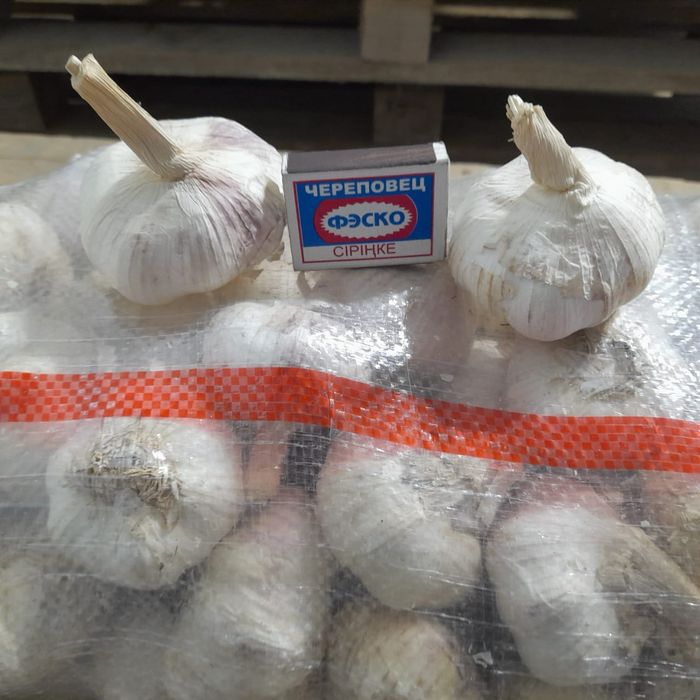 Чеснок свежий производство Китай