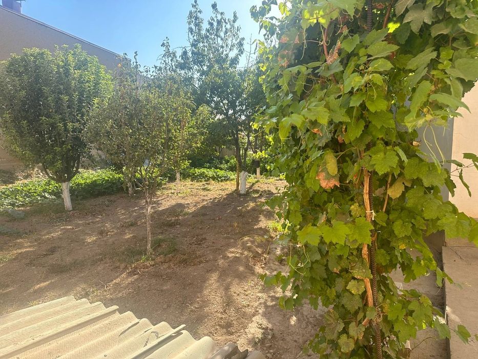 Продаётся земля Ориентир Тутзор   Арка