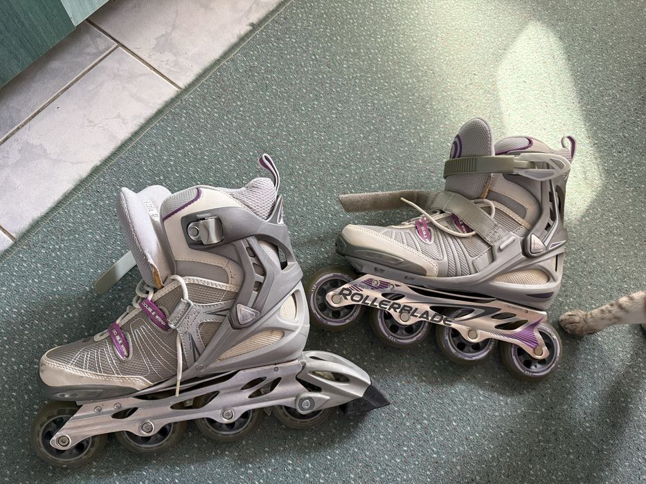 Patine cu rotile dama