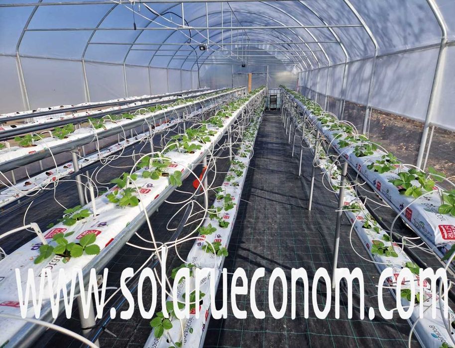 Solar (sera) - structura metalica și folie - 5x6m(30 mp) – 2977 lei