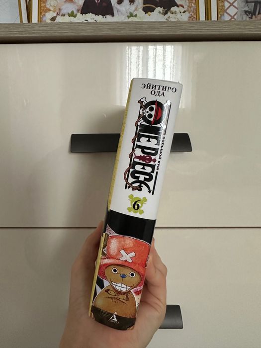 Книга Ванпис Большой куш