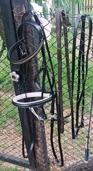 Frâu de echitație(zăbala inox,fălcele,dârlogi)350lei+Dârlogi 60lei/buc
