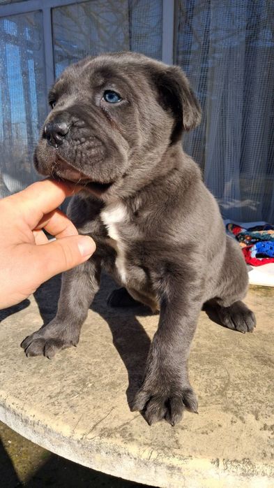 Момиченце игриво