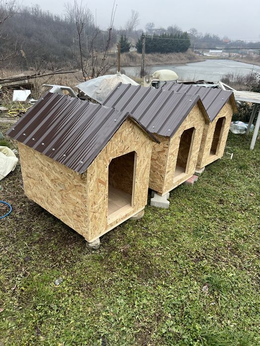 Vand cotet caine diferite dimensiuni