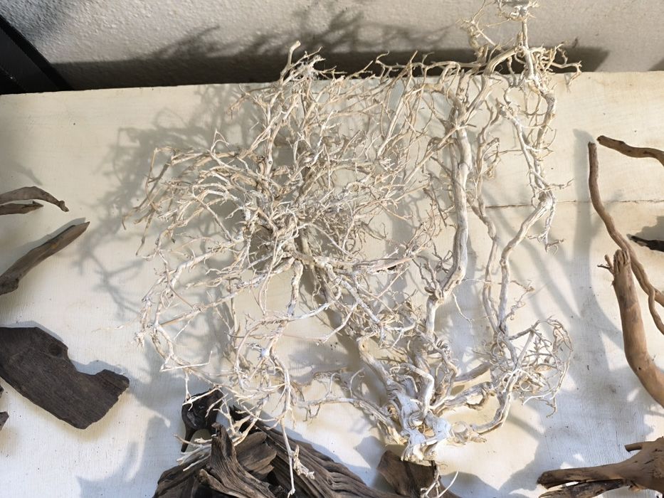 Аквариуми със стъклен капак нови