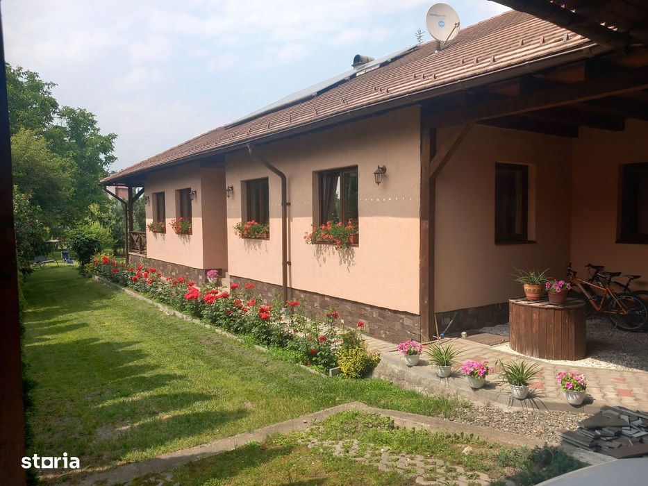 Proprietate cu 2 case, garaj și spațiu comercial, 1260 mp,Sangiorgiu