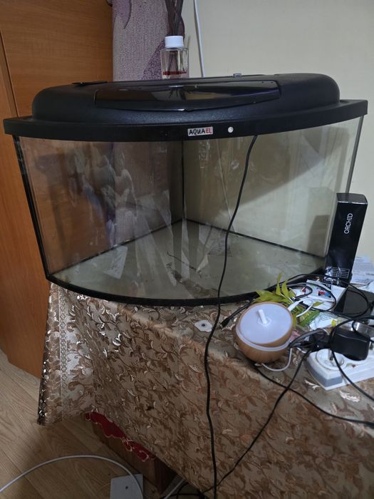 Vand acvariu peștii