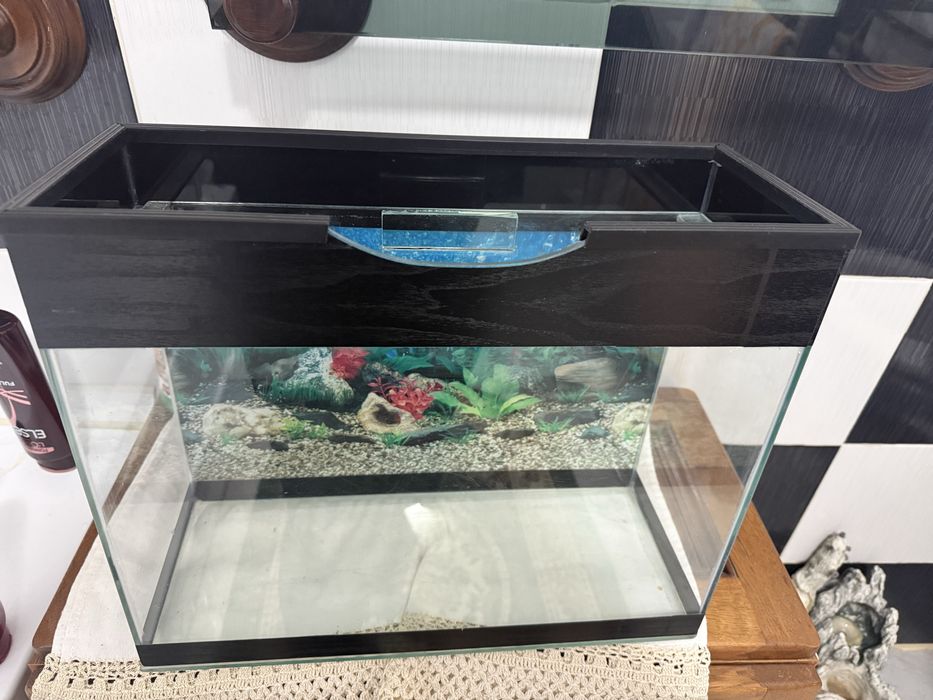 Acvariu 19 litri