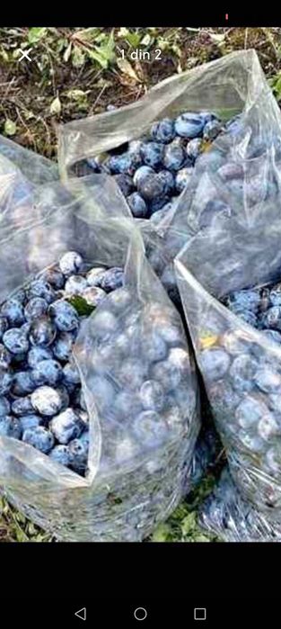 Prune de țuică livrarea se face la domiciliu clientului