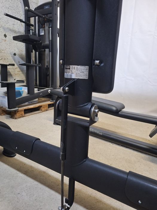 Technogym Radiant  scripete dublu