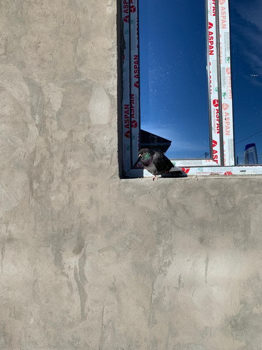 Пластик Есык Терезе