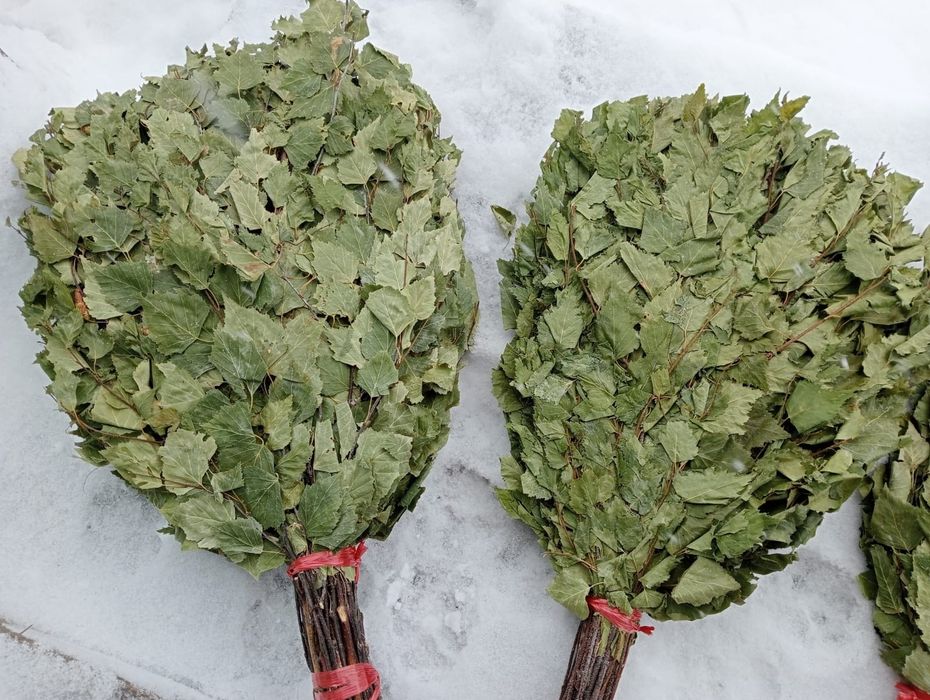 Продам берёзовые веники.