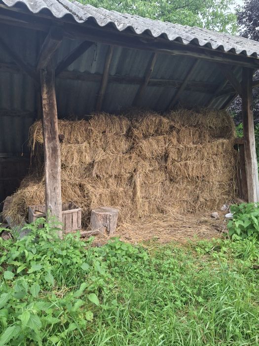 Vănd ( schimb) baloți.