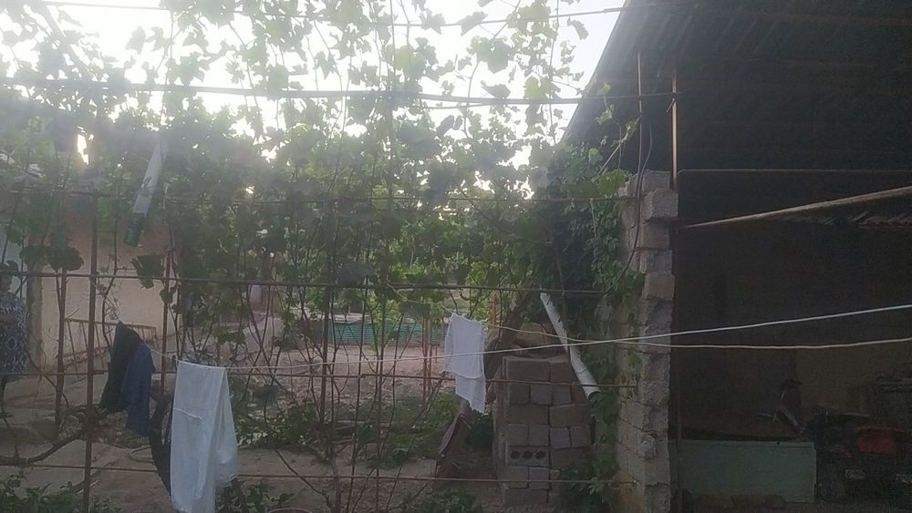 Hovli sotiladi 8 sotix