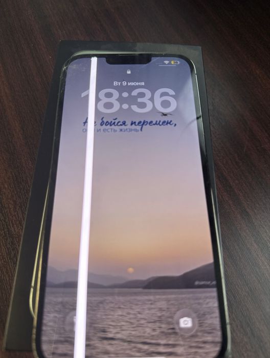 Iphone 13 pro max