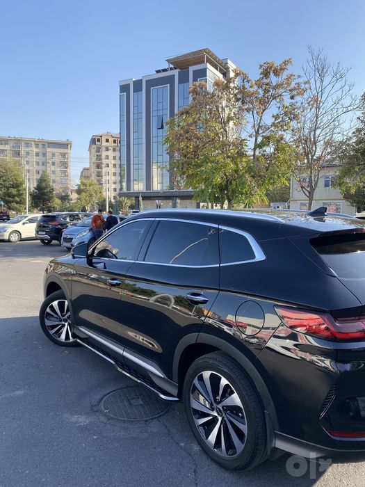 Byd chempion 2024 official