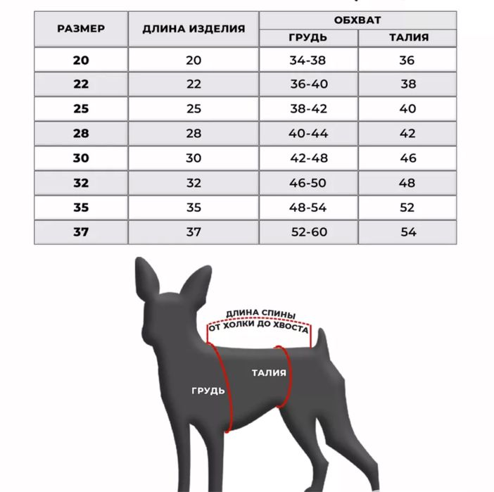 Велюровый костюм для собак, щенков
