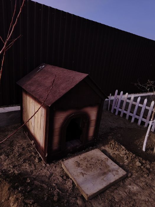 Будка новый для собак