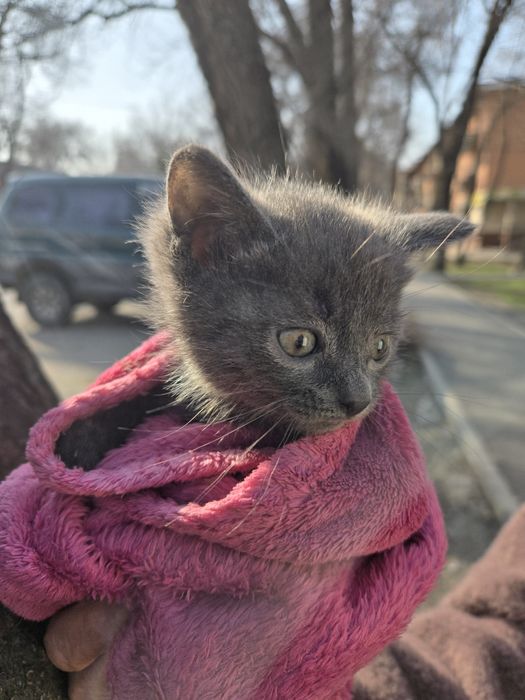 Пролам не дорого