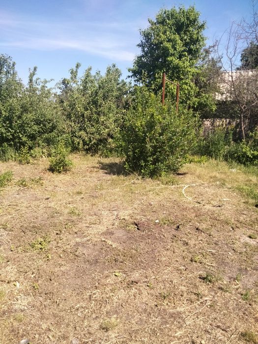 Продаётся даця срочно!!!