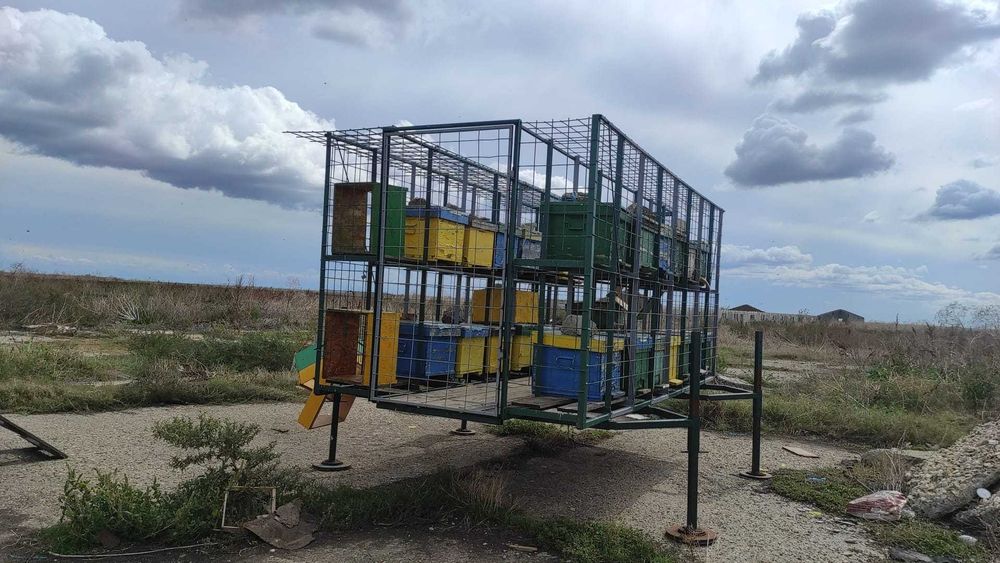 Vând Rastel  apicol