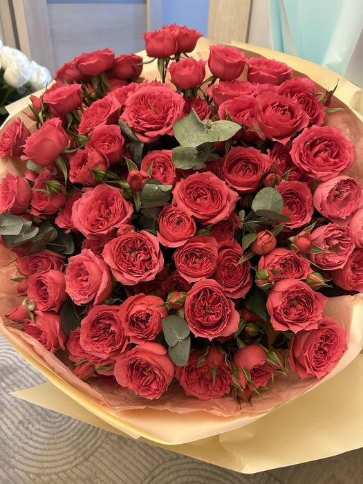 продам цветы свежие