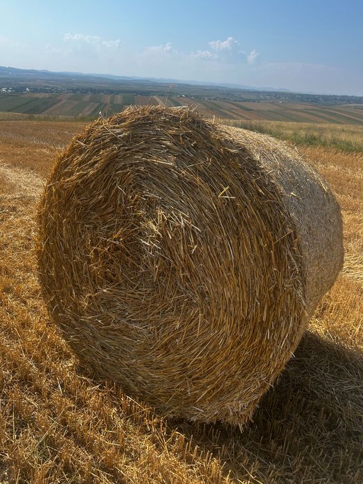 Baloți paie grâu