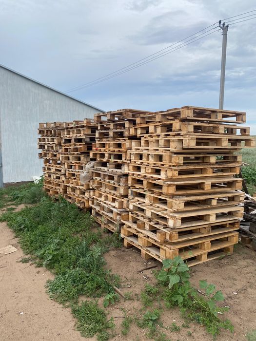 Продам поддоны 120/100см 120/80см