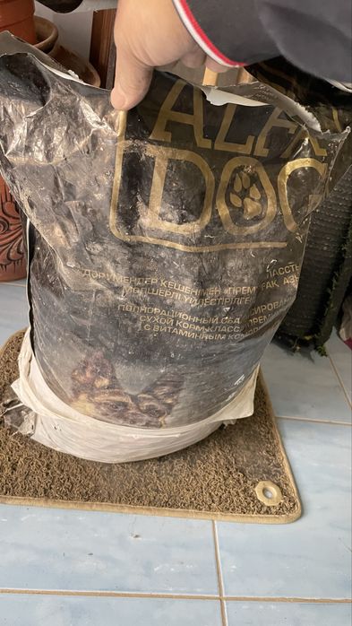 Корм для собак альфа дог