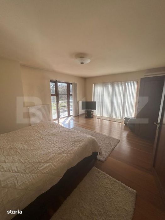 Vila Remetea Mare 380mp utili, 3982 mp teren